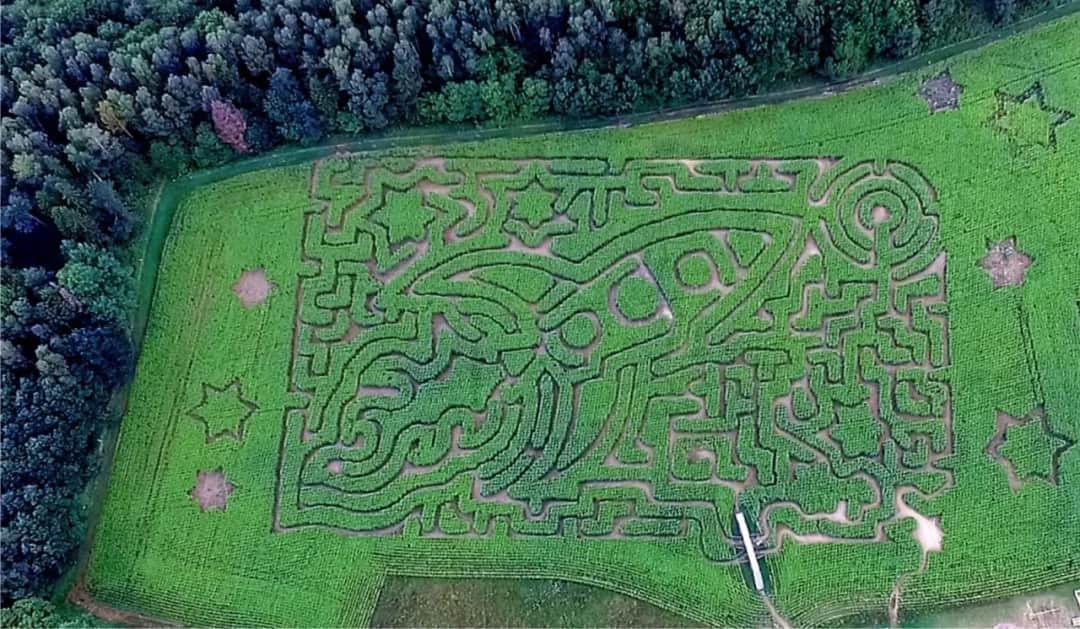 Labirynt: przestrzeń odkryć czy pułapka bez wyjścia w literaturze?